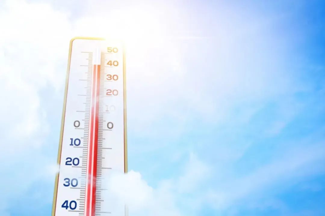 科普時間丨“秋老虎”發威易脫水，老年人怎么喝水更健康？