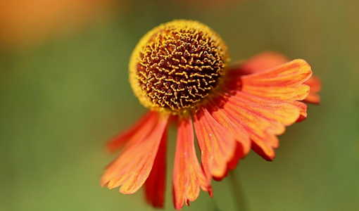 上海腦卒中醫(yī)院電話021-31167366