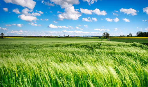 腦卒中是腦梗嗎？遇到腦卒中應該怎樣快速處理