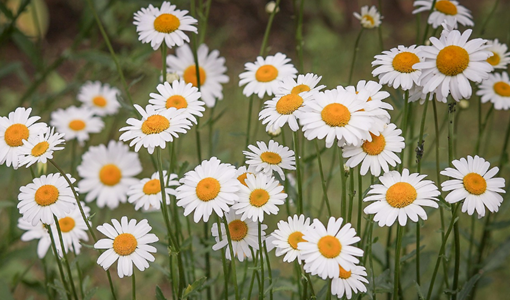上海腦卒中康復全流程：分階段精準干預，重建生活能力