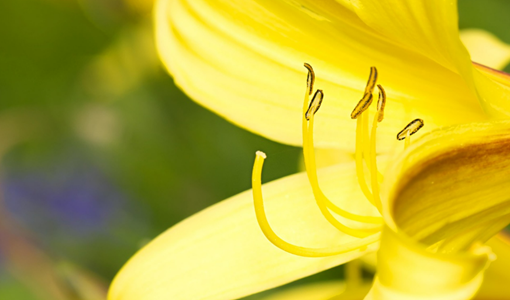 上海骨科康復科：核心治療范疇與服務方向