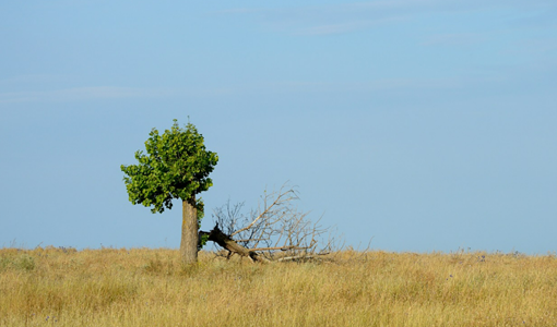 上海脊髓損傷康復治療全周期方案：從急性期干預到功能重建
