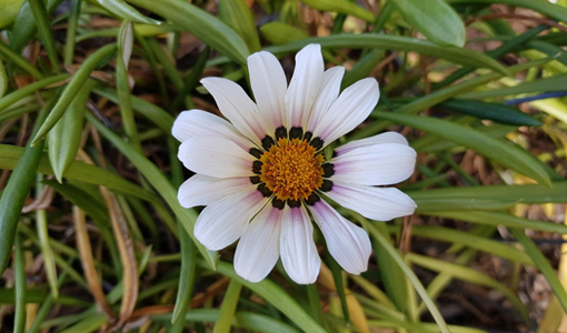 上海運動損傷康復后的運動回歸策略：從低強度到高強度的安全過渡指南